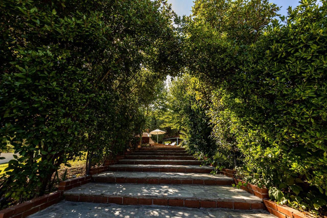 Casa Luxury Suites Paliúri Kültér fotó